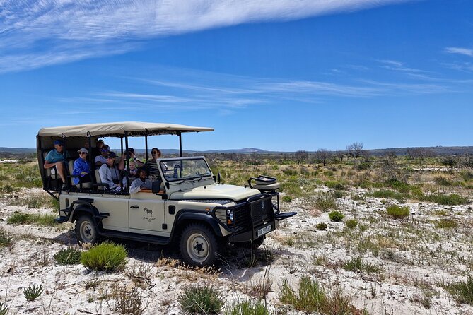 Safari Game Drive - Yzerfontein - A West Coast Safari That Does Not Try to Be the Kruger