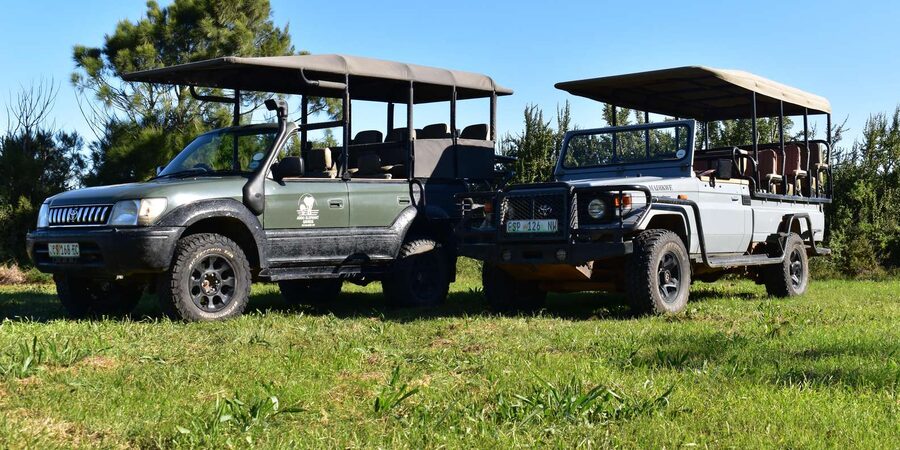 Safari into Schotia Full Day Tour - Who should book this safari, and who should skip it