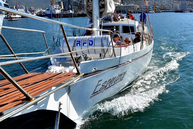 Sailing in The Bay by Catamaran (One Hour) - Price at $21.28: does it feel like value or just a quick spin?