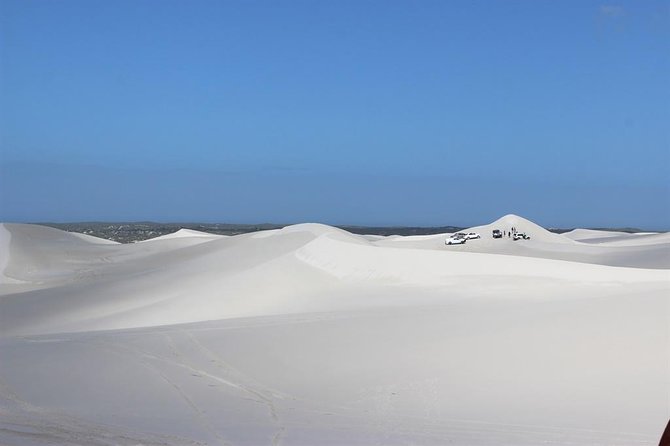 Sandboarding and Quad Biking Combo from Cape Town - Timing, group size, and why “start time” can shift