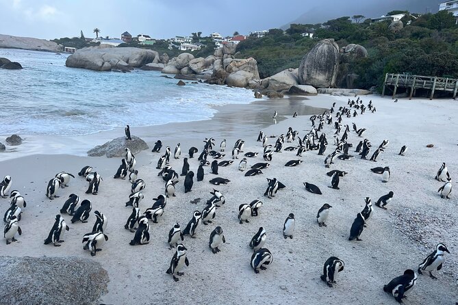 Scheduled Guided Tour to Table Mountain and Cape of Good Hope - Cape of Good Hope: maritime history meets nature reserve time