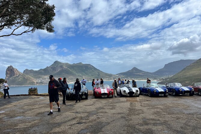 Scheduled Guided Tour to Table Mountain and Cape of Good Hope - Boulders Beach African Penguins up close, plus how to get the best hour