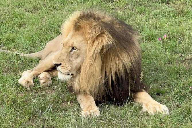 Schotia Big 5 Safari Port Elizabeth (optional accommodation) - Weather matters for wildlife, and for your comfort