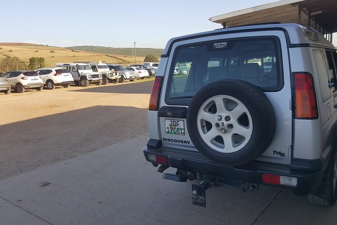 Schotia open vehicle safari game drive maximum 10 pax - Dinner included: a small detail that makes the day easier