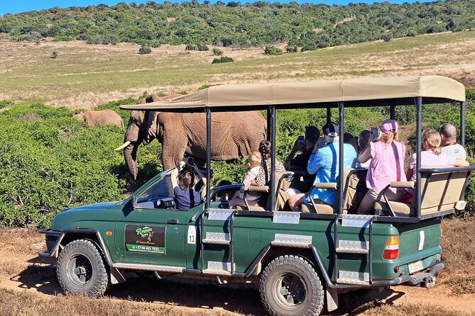 Schotia Private Game African Safari Guided Tour - Who should book this Schotia safari?