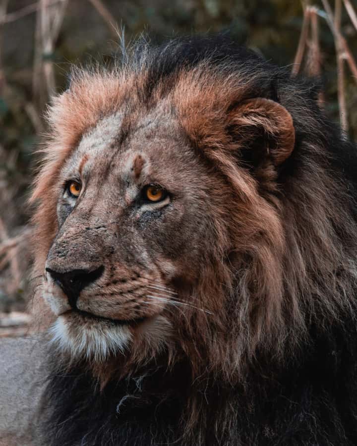 Schotia Private Game Reserve Safari - Getting to Schotia: the Port Elizabeth transfer is part of the plan