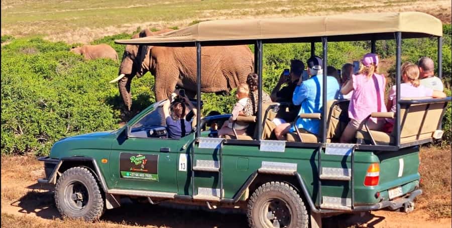 Schotia Safaris: Best Wildlife Encounters in Port Elizabeth - From Cruise Port to Schotia, the Day That Stays on Schedule