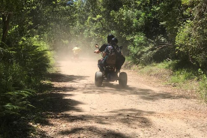 Scooter Tours through Tsitsikamma National Park - Riding the thick forest: yellowwood trees, birds, and pauses for stories