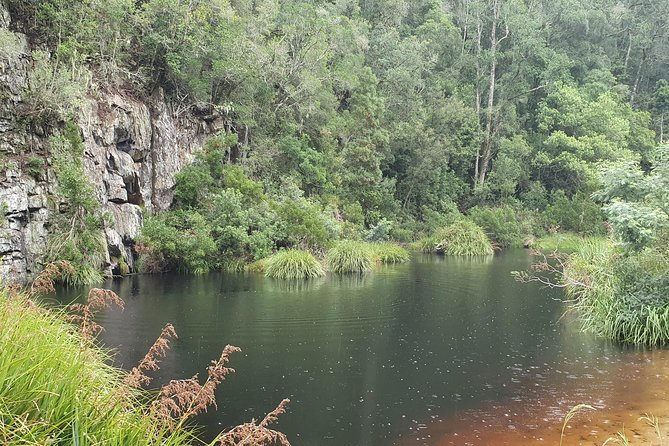 Scooter Tours through Tsitsikamma National Park - Cooling off in natural pools at the Storms River