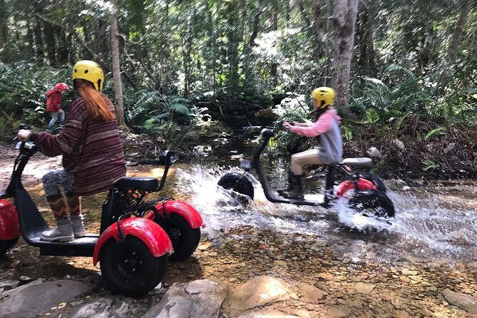 Scooter Tours through Tsitsikamma National Park - Your safety briefing is part of the experience