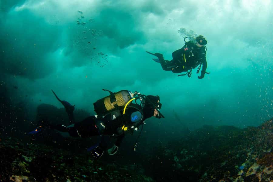 Scuba Dive in Cape Town: 2 Dives for certified divers - Timing, weather, and the reality of planning in Cape Town