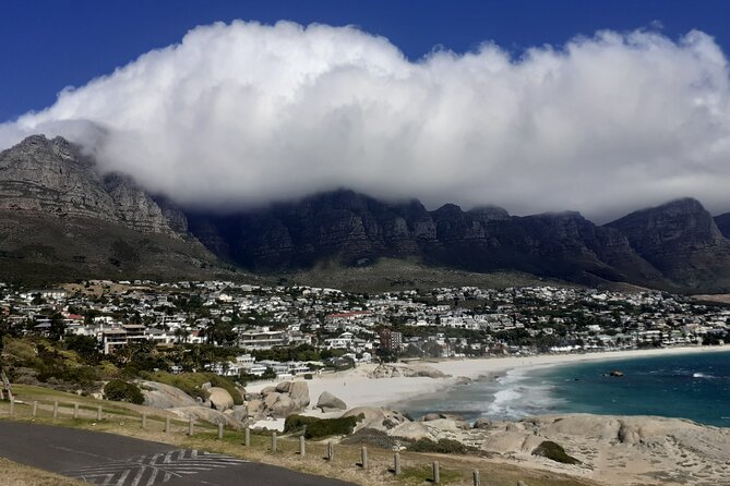 Seal Island,Cape of Good Hope&Penguins Shared Tour,From Cape Town - Chapman’s Peak Drive: chappies for big ocean-and-rock photos