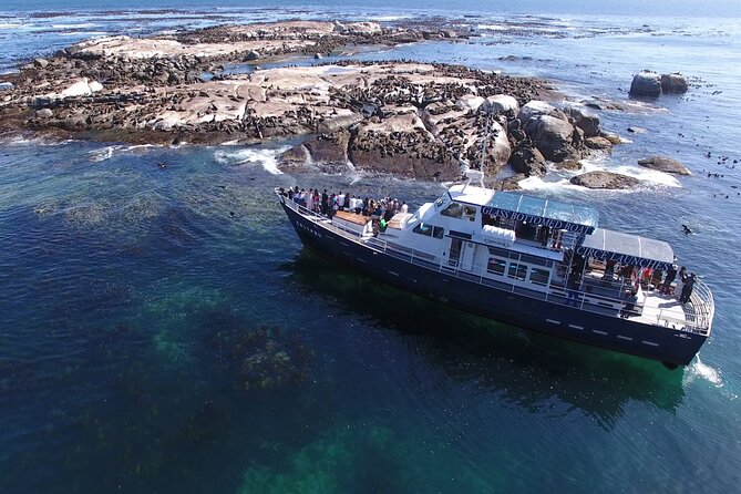 Seal Island,Cape of Good Hope&Penguins Shared Tour,From Cape Town - Camps Bay and Clifton: Twelve Apostles views on a quick stop
