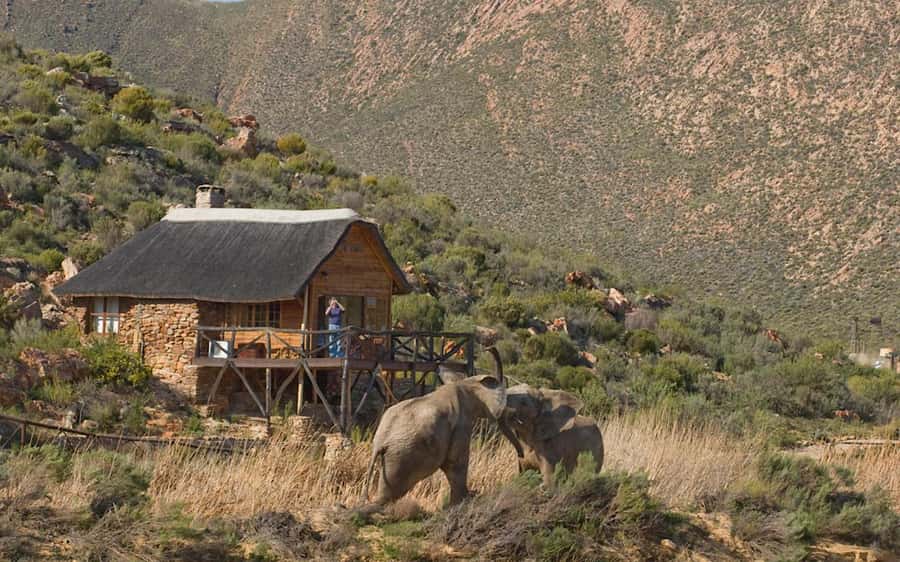 Self drive Aquila Safari Game Reserve Sunset Game Drive - Aquila Private Nature Reserve and why sunset is the right time
