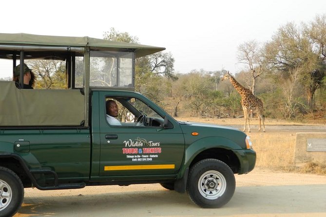 Shared Full Day Guided Safari Tour Visit to Kruger National Park - The open 4x4 + max 10 group setup for real viewing