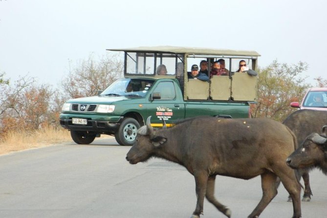 Shared Full Day Guided Safari Tour Visit to Kruger National Park - The safari journal, ponchos, and water that keep you going