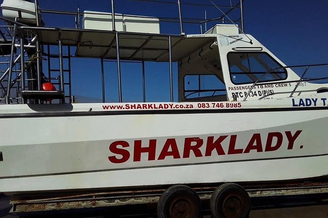 Shark Cage Diving - Arrival routine: snack, intro, and getting ready without hassle