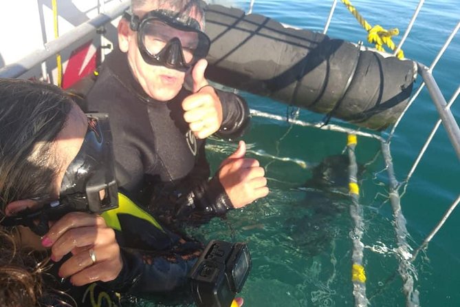 Shark Cage Diving - The Great White Shark cage encounter: what you are really paying for