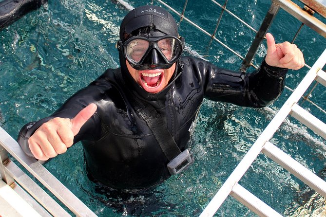 Shark Cage Diving and Viewing with transport from Cape Town - The marine biologist briefing: turning fear into context