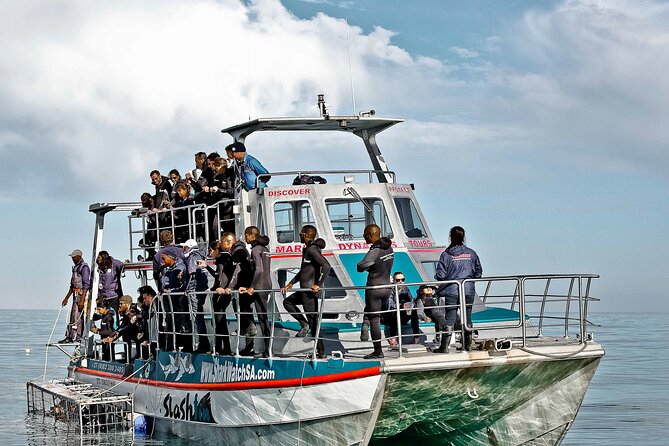 Shark Cage Diving and Viewing with transport from Cape Town - The cage setup: what it feels like to be lowered in