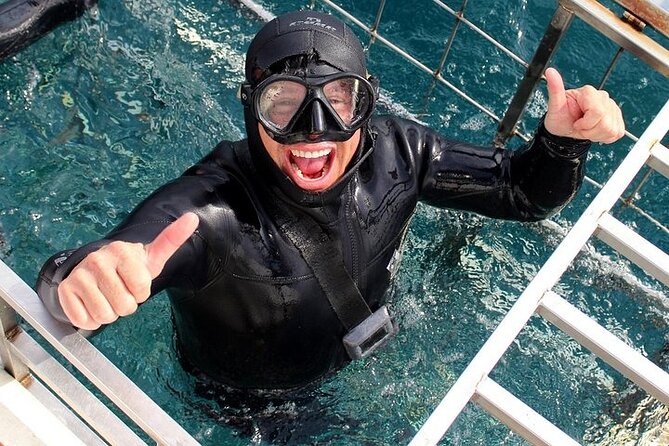 Shark Cage Diving and Viewing with transport from Hermanus - FAQ