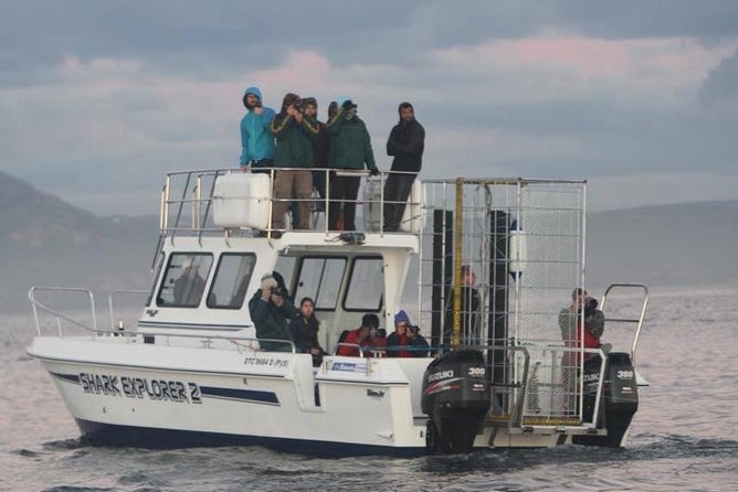Shark cage diving & viewing tours in Gansbaai - Kleinbaai Harbour Is Close, And That Keeps the Day Moving
