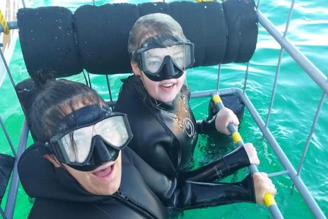 Shark Cage Diving - Price and value: why $267.97 can still feel fair