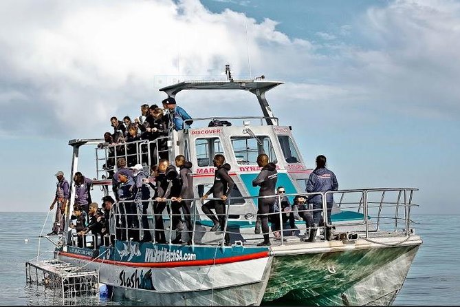 Shark Diving Full Day Guided Return Transfer to Gansbaai from Cape Town - How weather changes your plan without ruining your day