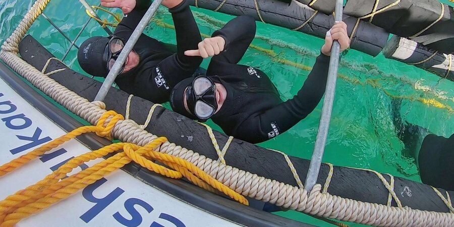 Shark & Whale Trip Combo - Who this combo tour is perfect for