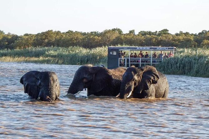 Shoreline Hippo and Crocodile Boat Cruises, iSimangaliso Wetland Park - Where you meet and what to plan for on the day