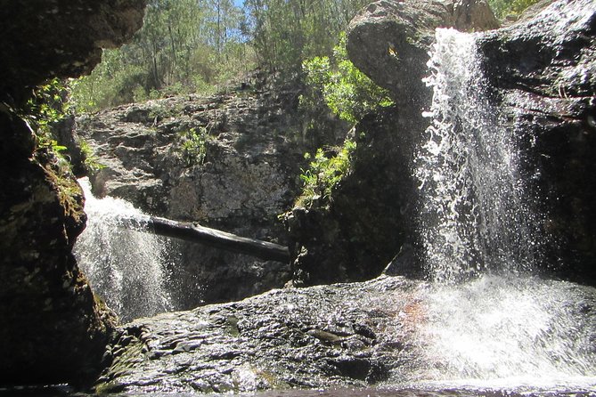 Short Canyoning Trip in The Crags - Key highlights to know before you go