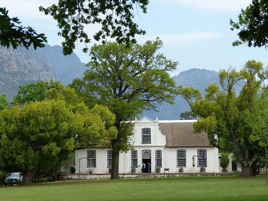Sip & Savor : A Perfect Half-day Wine Escape to Stellenbosch - Key Things You’ll Appreciate On This Half-Day Stellenbosch Wine Escape