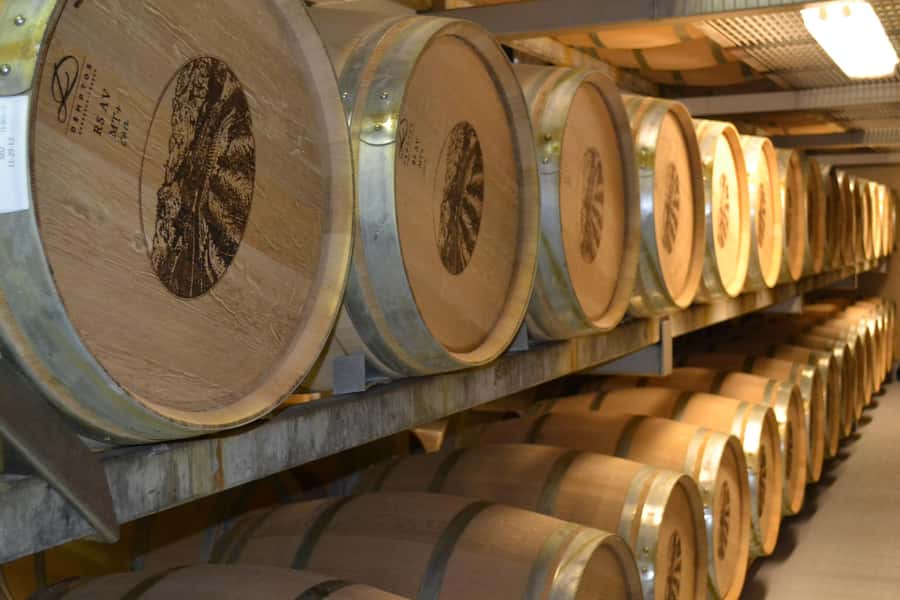 Sip & Savor : A Perfect Half-day Wine Escape to Stellenbosch - Stroll Time in Stellenbosch, Plus a Quick Photo Break