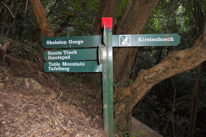 Skeleton Gorge Hike on Table Mountain - Price and value: is $108.33 per person worth the effort?