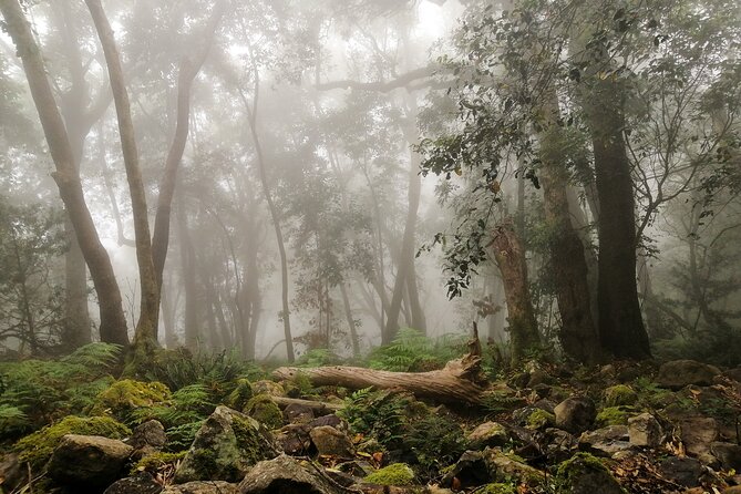 Skeleton Gorge Hike up Table Mountain - Key things to know before you go