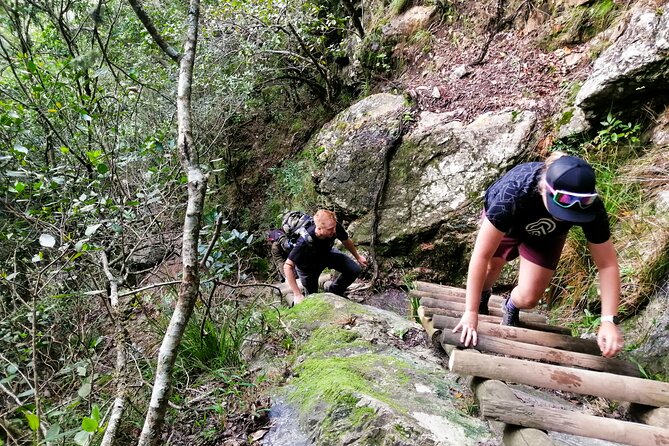 Skeleton Gorge Hike up Table Mountain - Cable car descent to Tafelberg Road, saving your energy