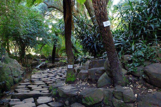 Skeleton Gorge Hike up Table Mountain - Coffee and tea breaks that actually help