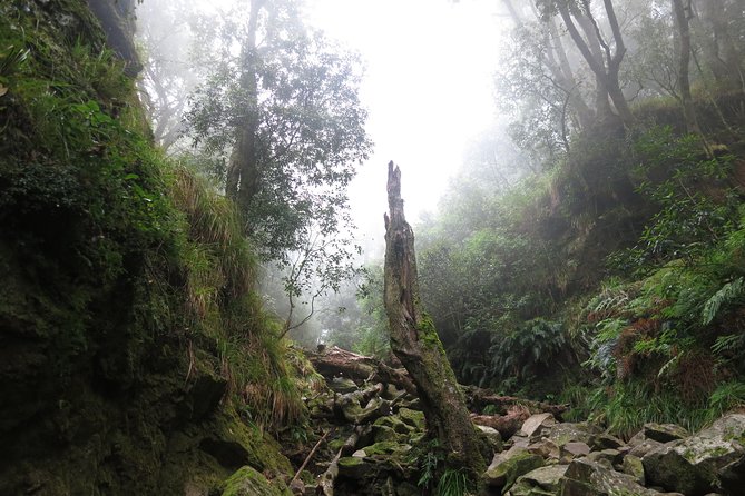 Skeleton Gorge to Table Mountain summit - When should you choose this climb over other Table Mountain options?