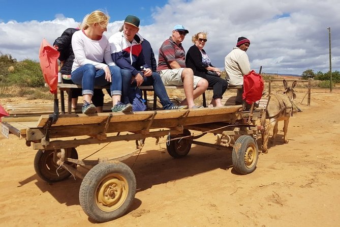Skip the Line: Highgate Ostrich Farm Tour Ticket - Ostrich Derby Finale, Plus the Restaurant and Gift Shop Stop