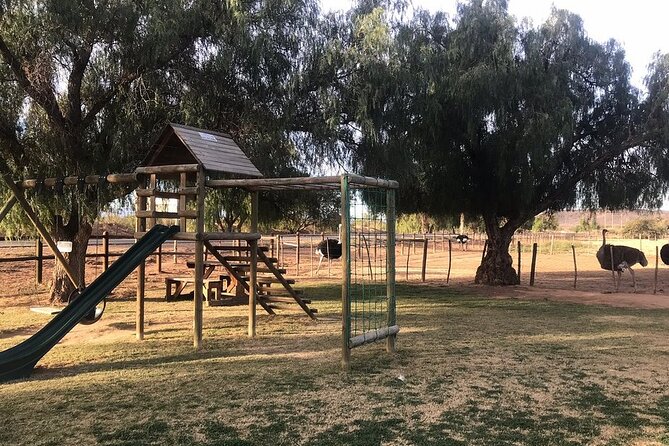 Skip the Line: Highgate Ostrich Farm Tour Ticket - Price and Value: What $11.28 Really Buys You