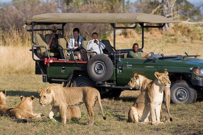 Small Group 3 Day Garden Route Adventure from Cape Town - Key highlights worth planning around