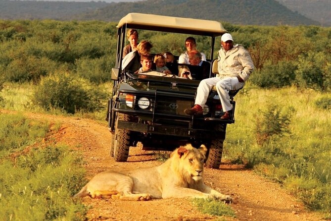 Small Group 4 Day Garden Route Adventure from Cape Town - Quick hits on this Cape Town to Garden Route tour