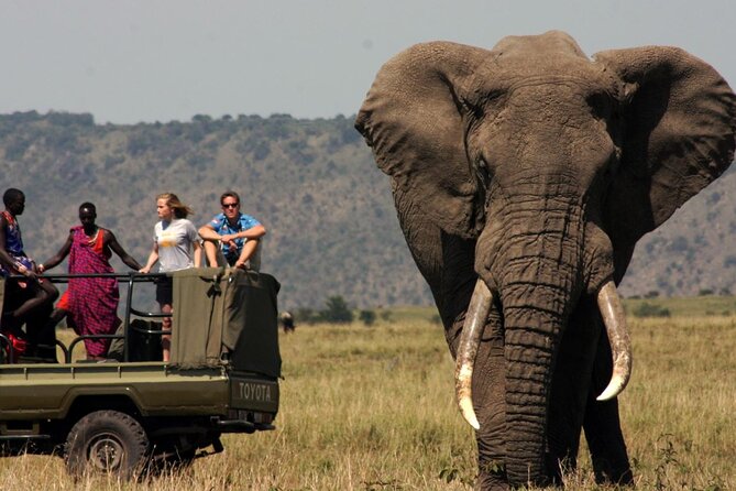 Small Group 4 Day Garden Route Adventure from Cape Town - Who this Garden Route adventure fits best