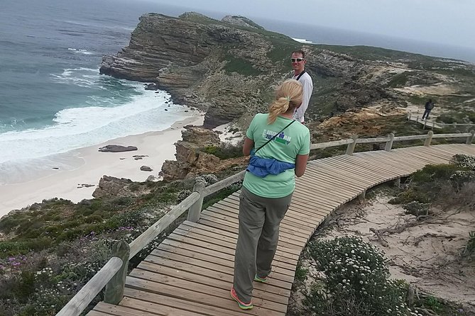 Small Group Cape Of Good Hope Penguins Wine Tasting Inc Park Fees - Hout Bay Harbor and the Seal Island Option