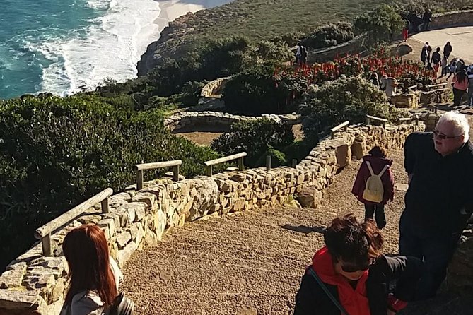 Small Group Cape Of Good Hope Penguins Wine Tasting Inc Park Fees - Steenberg Vineyards Wine Tasting, Mandela, and the Heart Transplant Stop