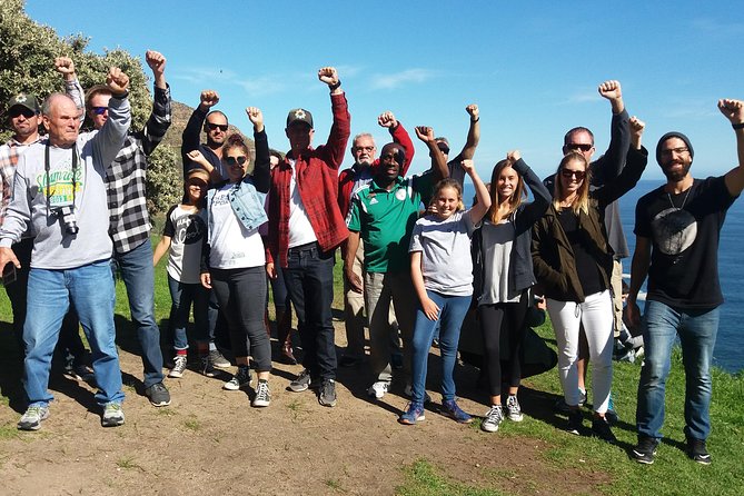 Small Group Cape Of Good Hope Penguins Wine Tasting Inc Park Fees - Clifton Beach, Camps Bay, Lion’s Head, and the Big-View Stops