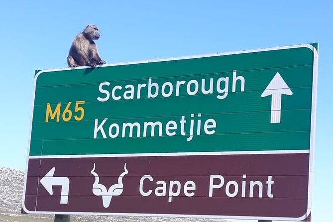 Small Group Table Mountain Penguin Colony and Cape Point Tour - The Big Picture: How This Day Fits Into Your Cape Town Trip