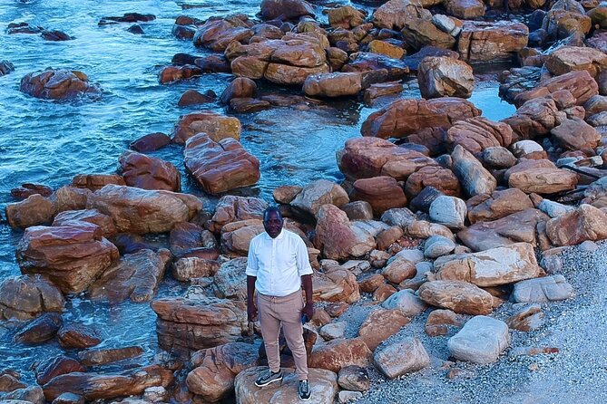 Small Group Table Mountain Penguin Colony and Cape Point Tour - Camps Bay and Chapmans Peak: Scenic Stops Built for Photos