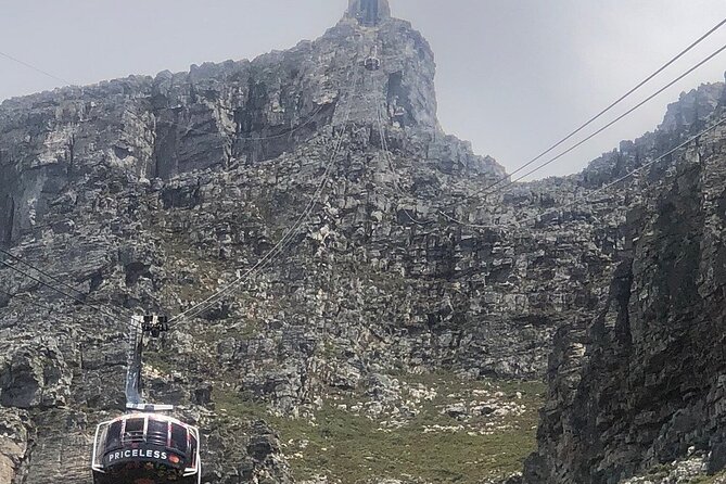 Small Group Table Mountain Penguin Colony and Cape Point Tour - Pickup, Group Size, and the Day’s Rhythm