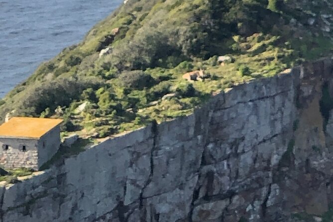 Small Group Tour Boulders Beach Penguin Colony Cape of Good Hope - Maiden’s Cove at Camps Bay, Why This View Works